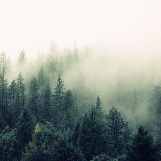 Our Commitment to a Sustainable Fashion Industry